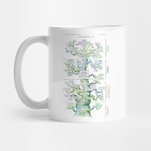 Haeckel's Evolution of Man Mug